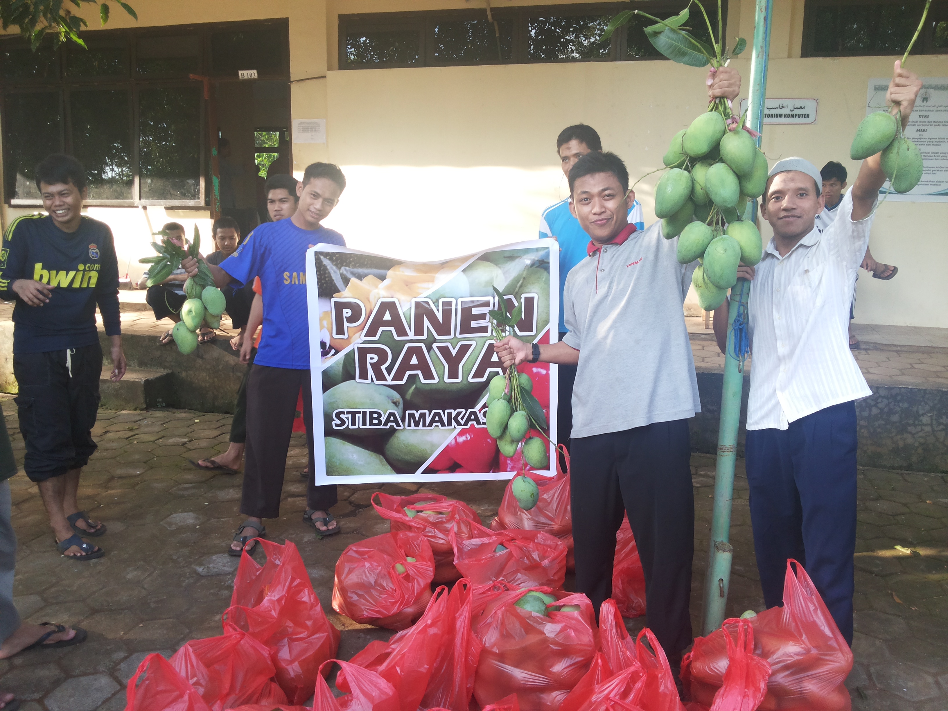 Panen Raya Mangga di kampus STIBA Makassar