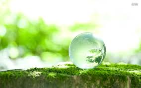 Mutiara Hikmah (Bag. 1)