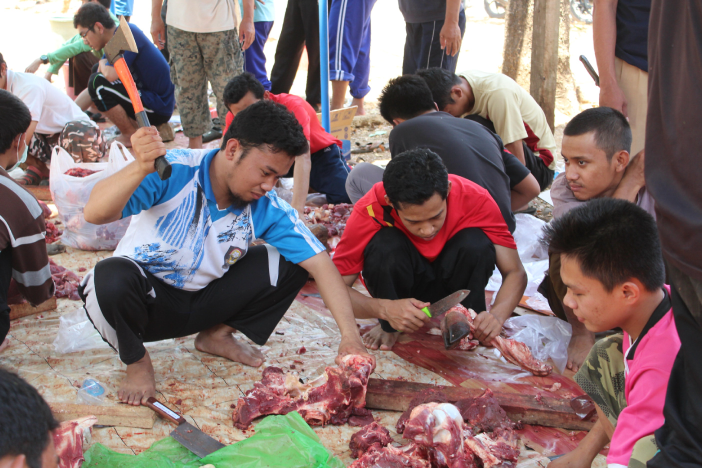Yuk, Kurban Bersama Penuntut Ilmu Syar’i di STIBA Makassar