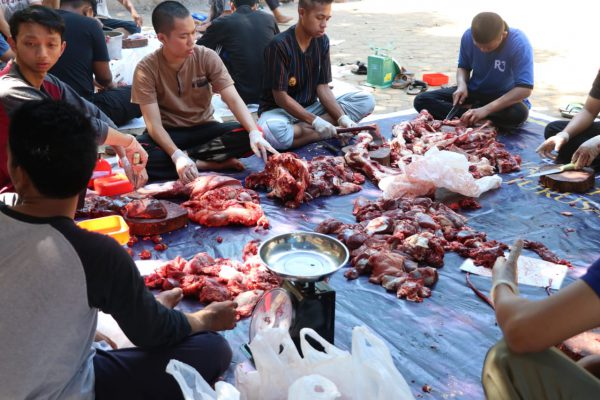 Idul Adha 1440, STIBA Makassar Kurban 22 Ekor Sapi dan 30 Kambing