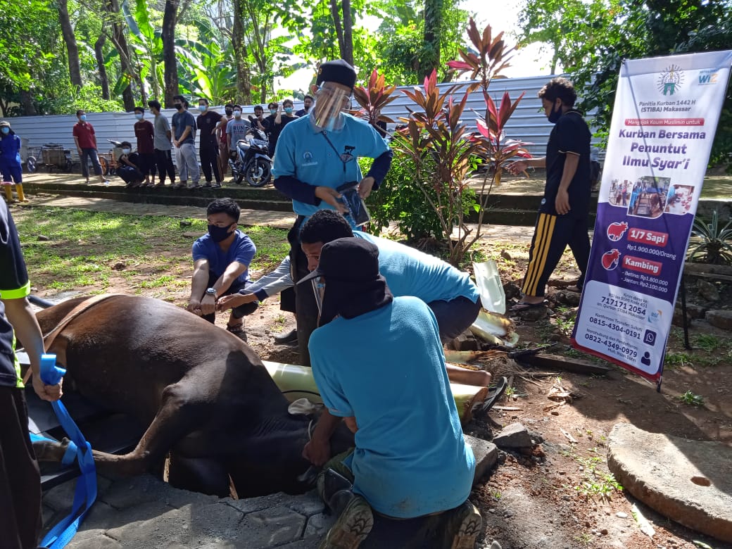 Di Tengah Covid-19, STIBA Kurban 25 Sapi dan 52 Kambing, Panitia Terapkan Protokol Kesehatan