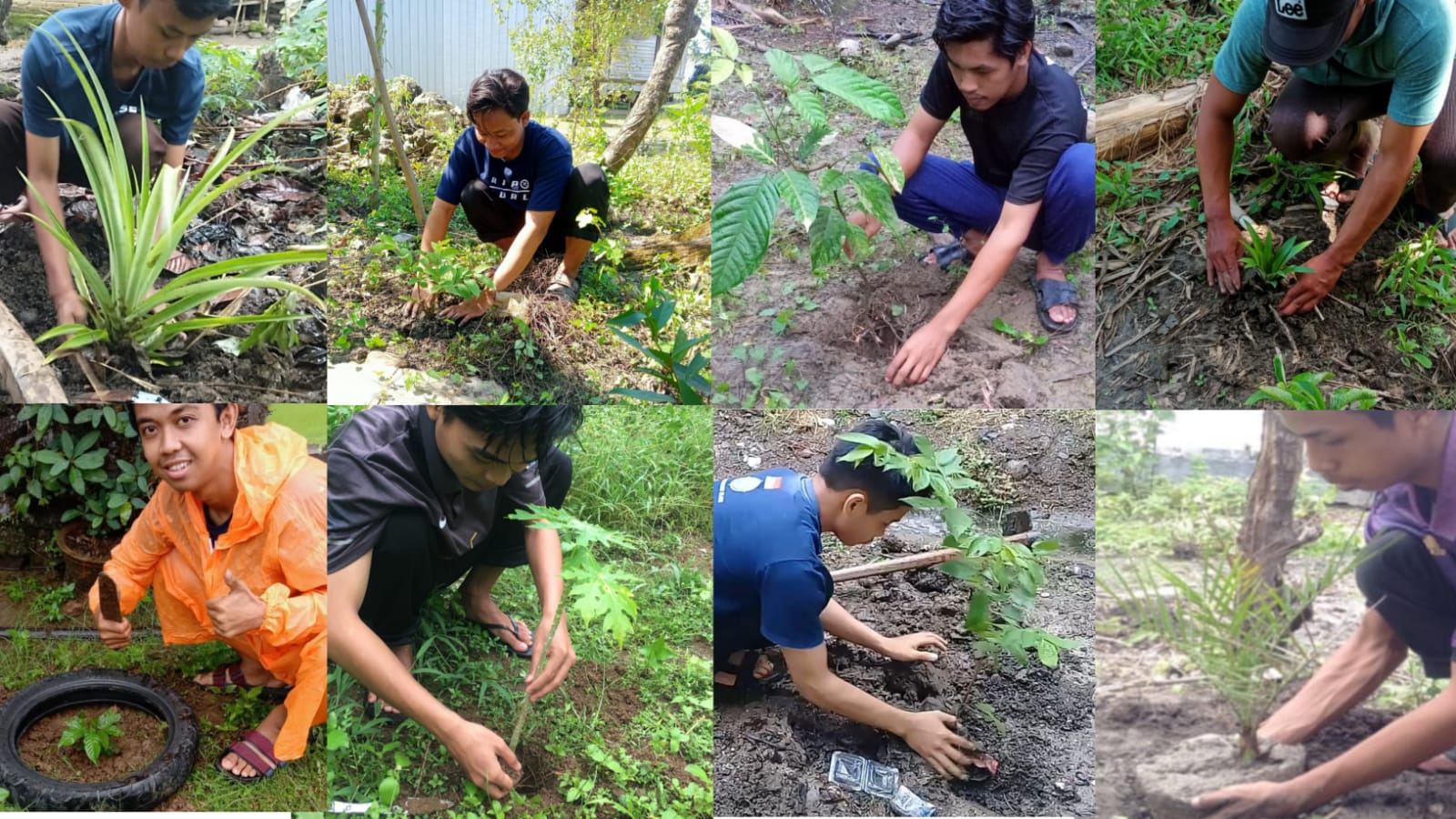 Praktikum Penghijauan, Mahasiswa Tanam 159 Pohon